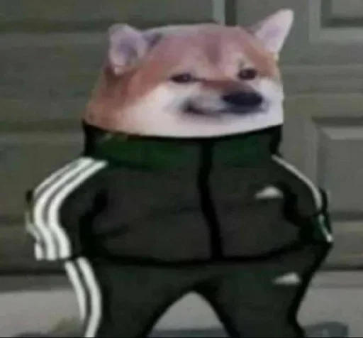 😎