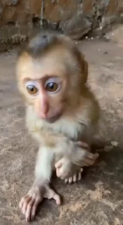 🤩
