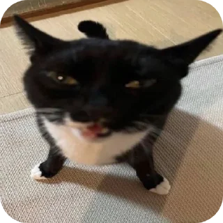 👍