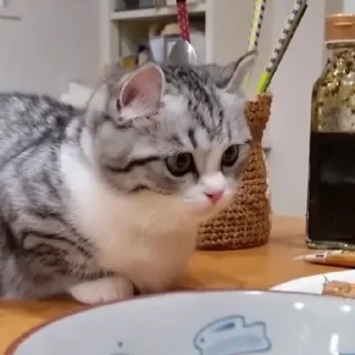 🥰