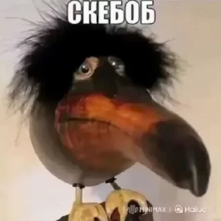 💃