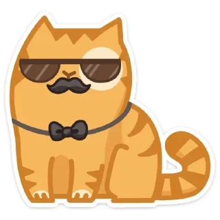 😎