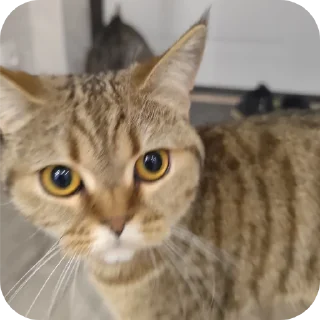 😳
