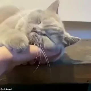 🤗