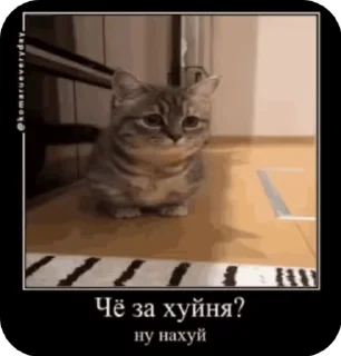 😳