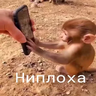 👌