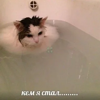 ❓