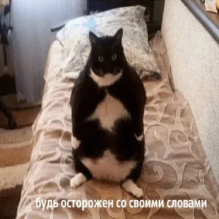 ☹️