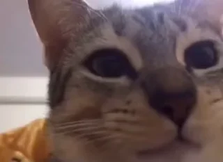 🤨