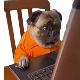 👨‍💻