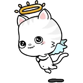 😇