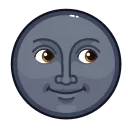 🌚