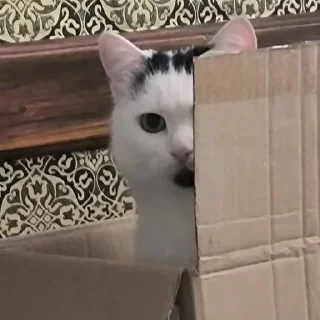 🙂