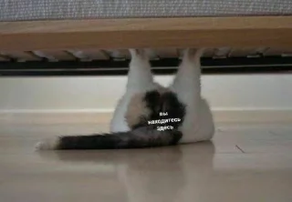 🍑