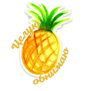 🍍