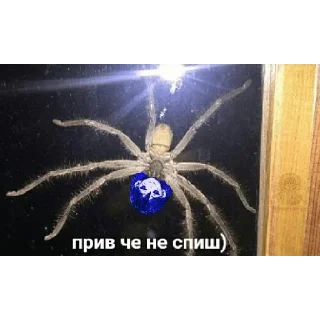 💜