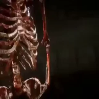 💀