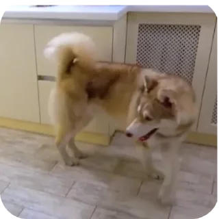 👍