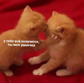 🧡