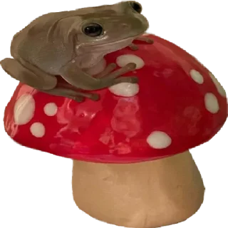 🍄