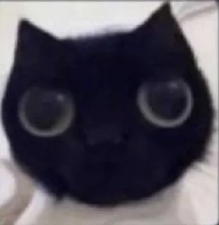 🥺