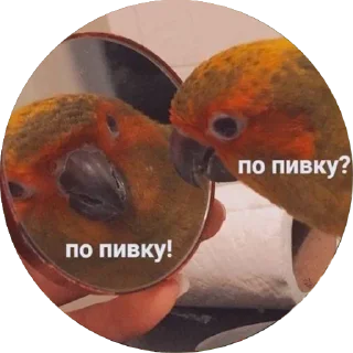 🍻