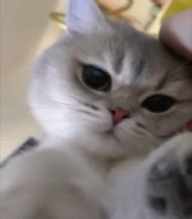 😘