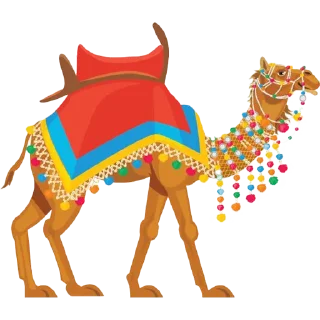 🐫