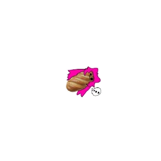 🥖
