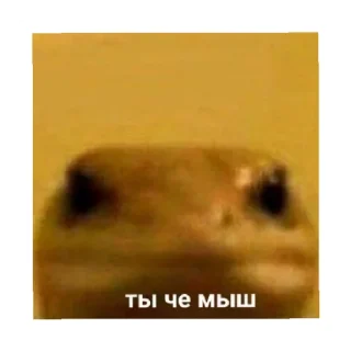 😠