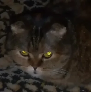 😡
