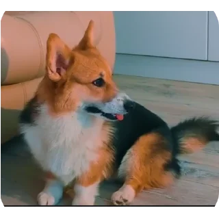 👍