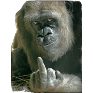 🖕