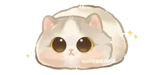 Kapebeans cat's @TgSticker