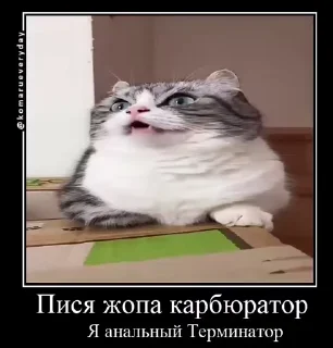 👴