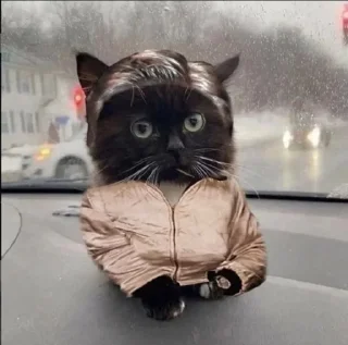 🚙