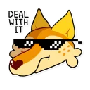 😎