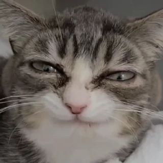 😋