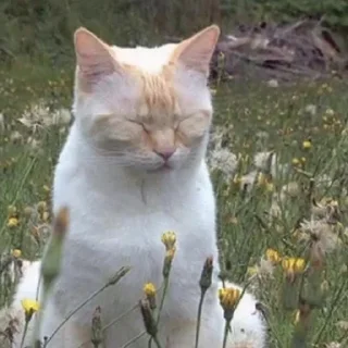 😁