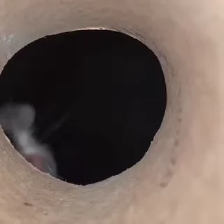 😺