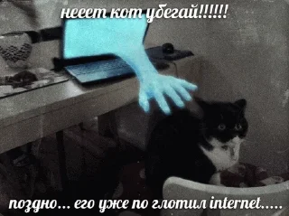 🌐