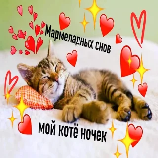 😴