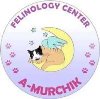 🐈