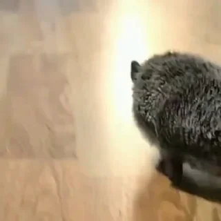 🤩