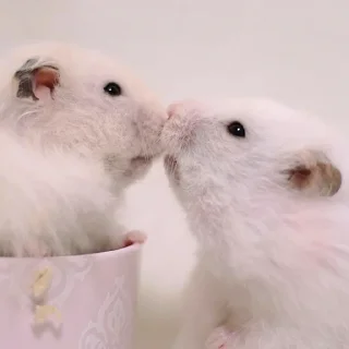 🥰