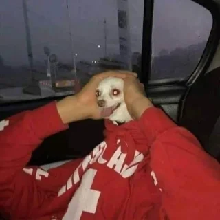 🧐