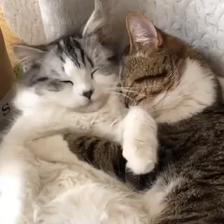 🥰