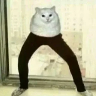 🥸
