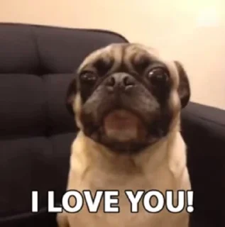 ❤