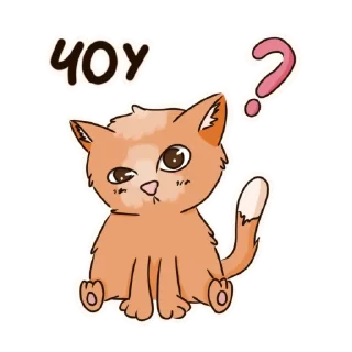 ❓